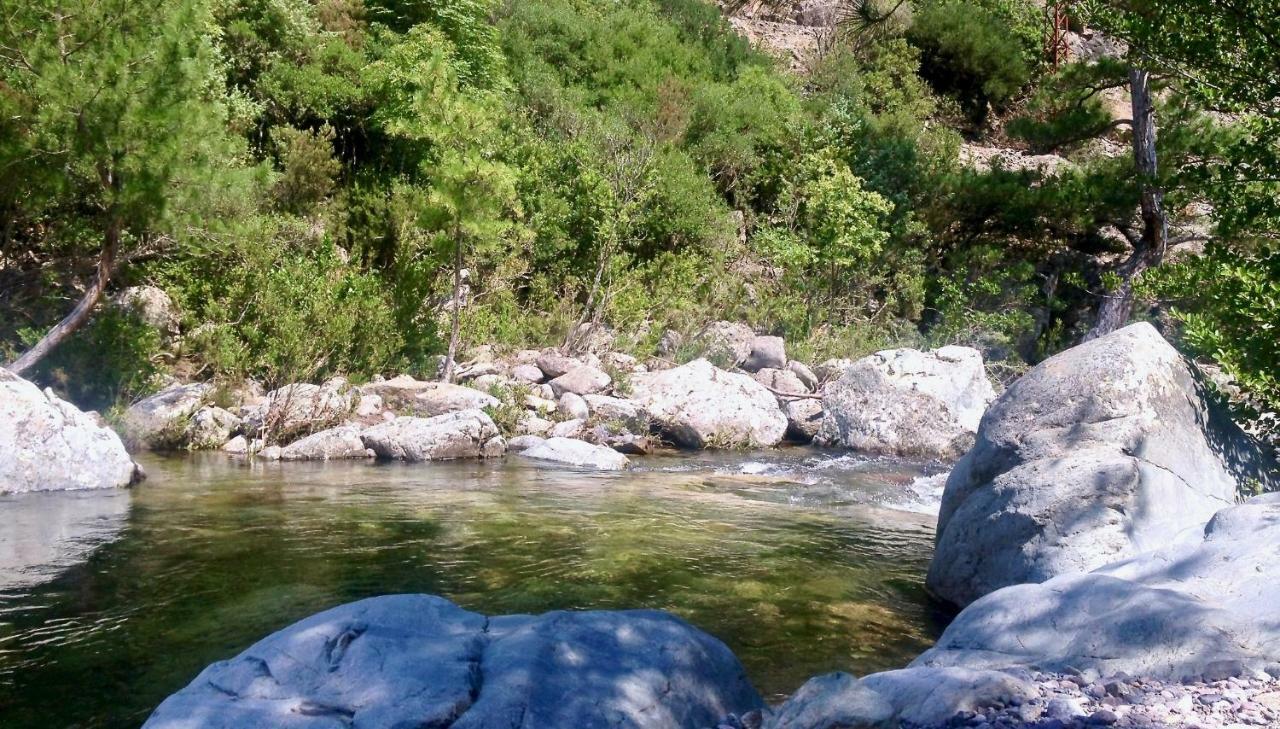 Pietranera studio proche de la mer à 2km de Bastia Ville-di-Pietrabugno Eksteriør bilde